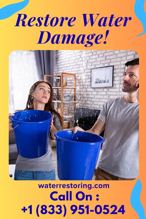 water restoration Solid Mitigation Inc Aristes